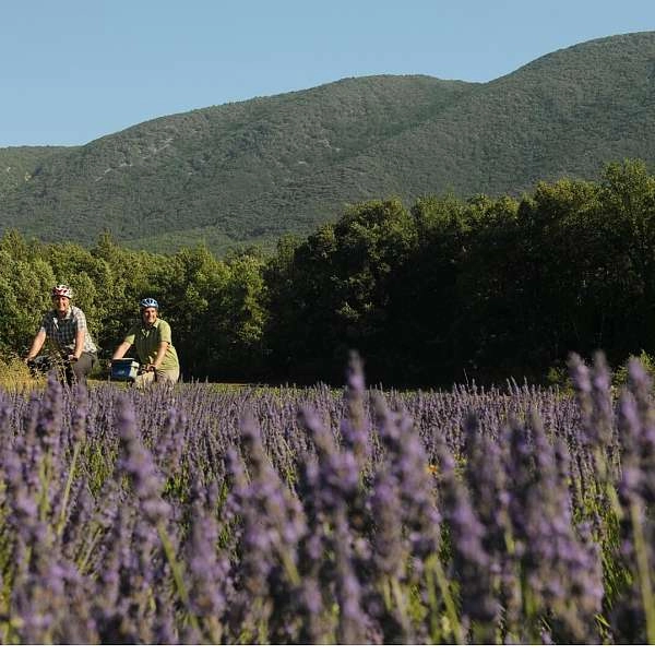 Autour du Luberon à Vélo