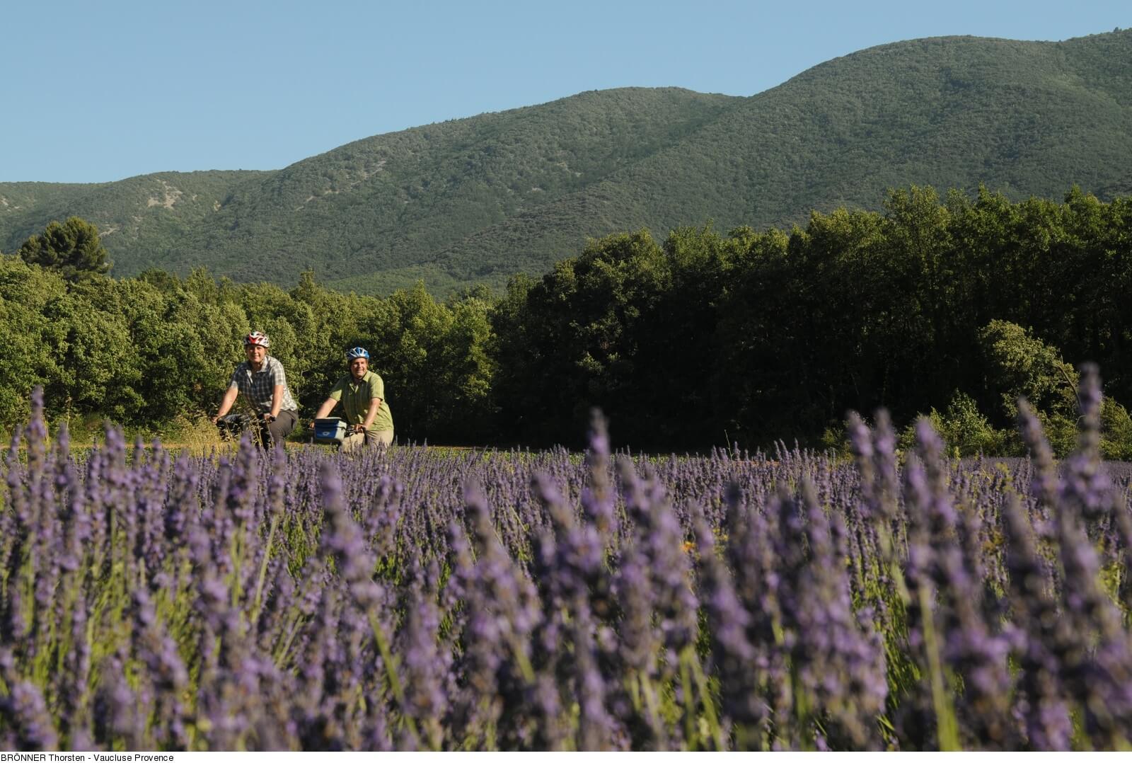 Autour du Luberon à vélo