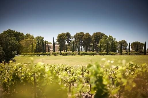Dégustation de vins lors des Sunsets Vignerons Dégustation de vins et accords gourmands lors d'une soirée Sunsets Vignerons au Château de Sannes dans le Luberon