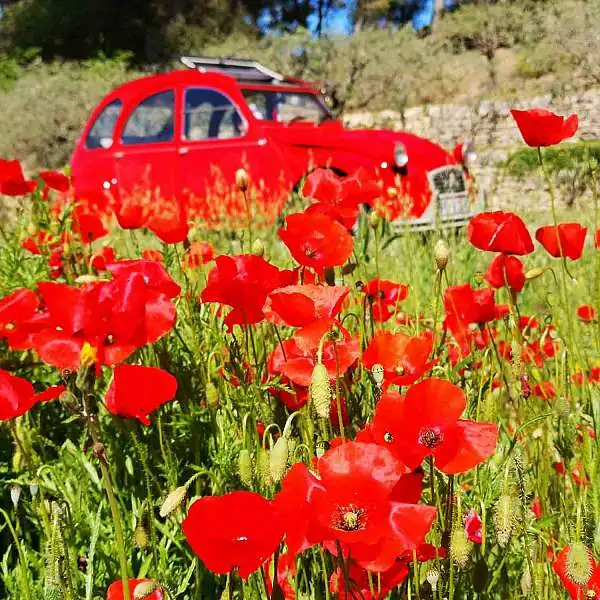 2cv en Provence Location