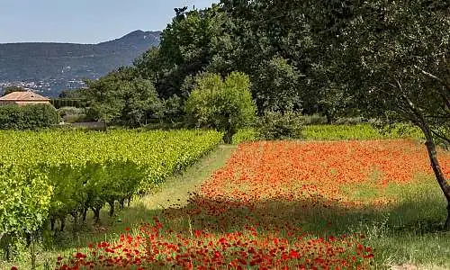 Mas des Infermières