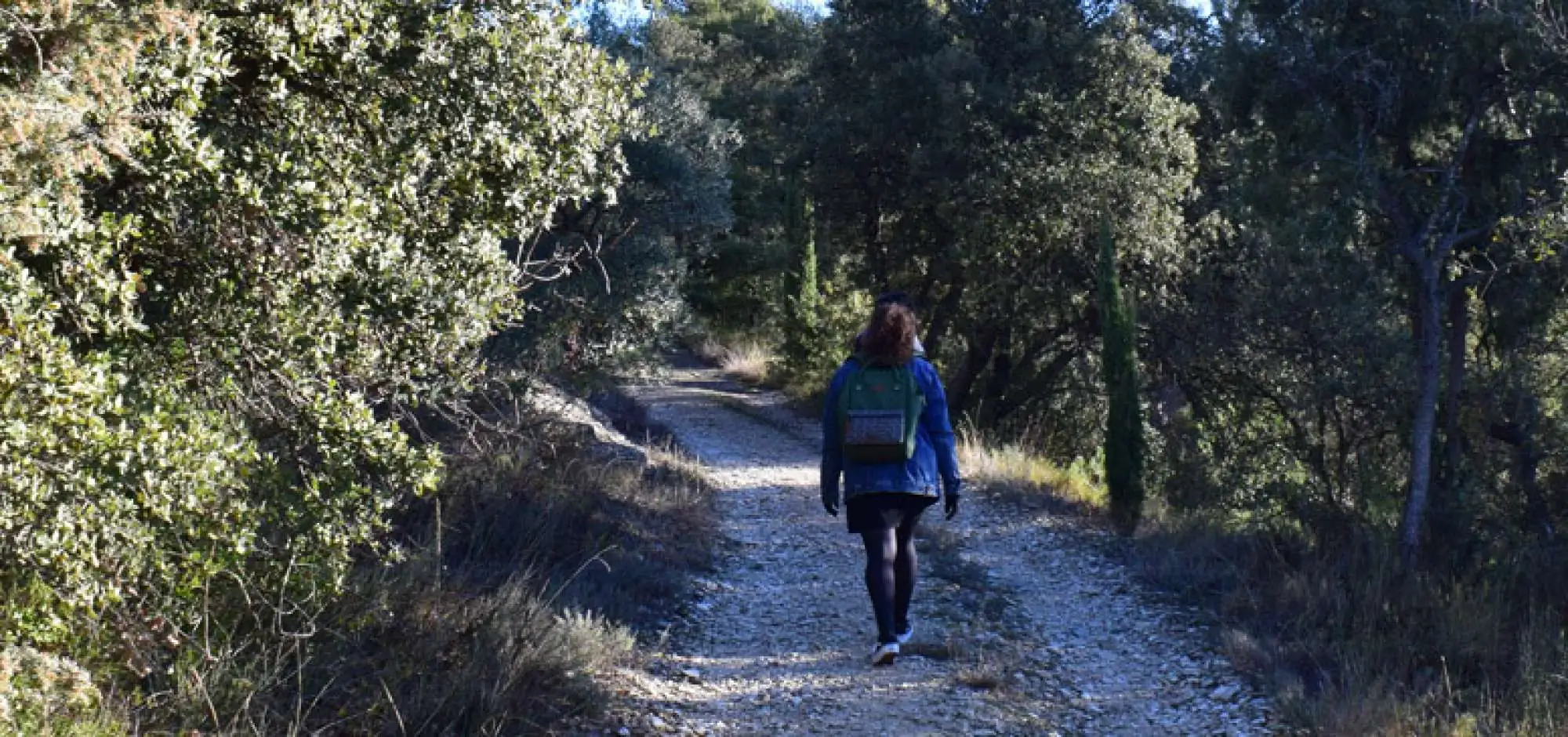 TOP 3 des activités idéales pour prendre l'air en Destination Luberon
