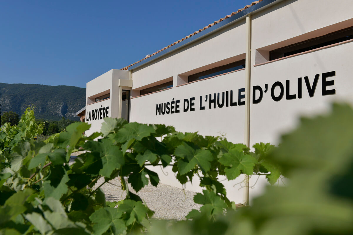 Vignes et oliveraies du Domaine La Royère Vignes et oliveraies du Domaine La Royère à Oppède dans le Luberon