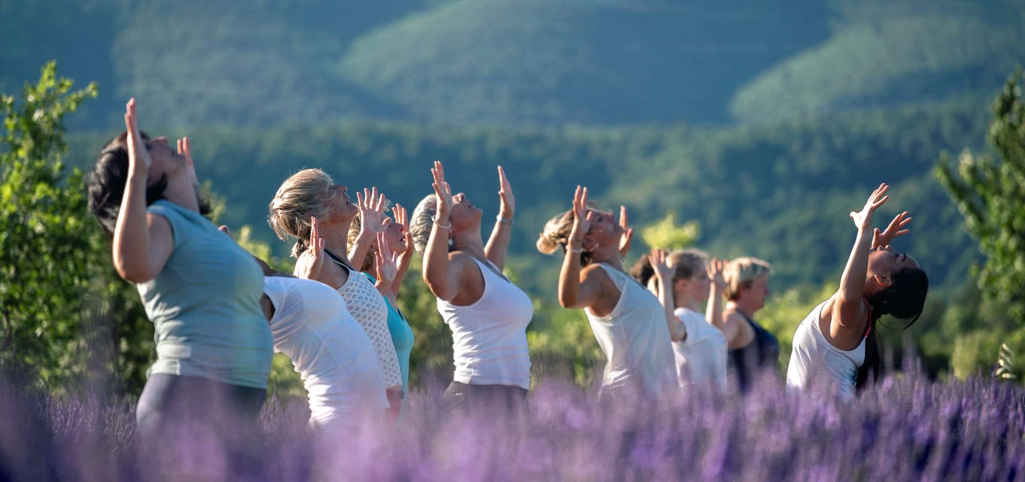 AirFit Provence - Bien-être et Relaxation