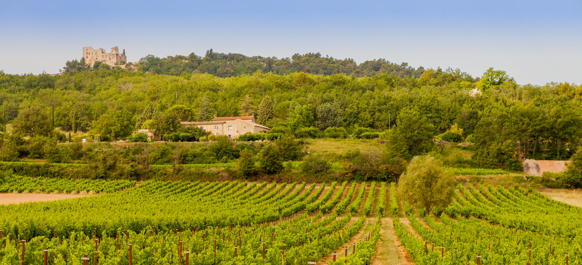 Dégustation de vins et accords gourmands lors d'une soirée Sunsets Vignerons à la Cave de Bonnieux dans le Luberon