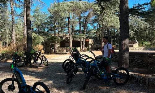 trottinettes électriques