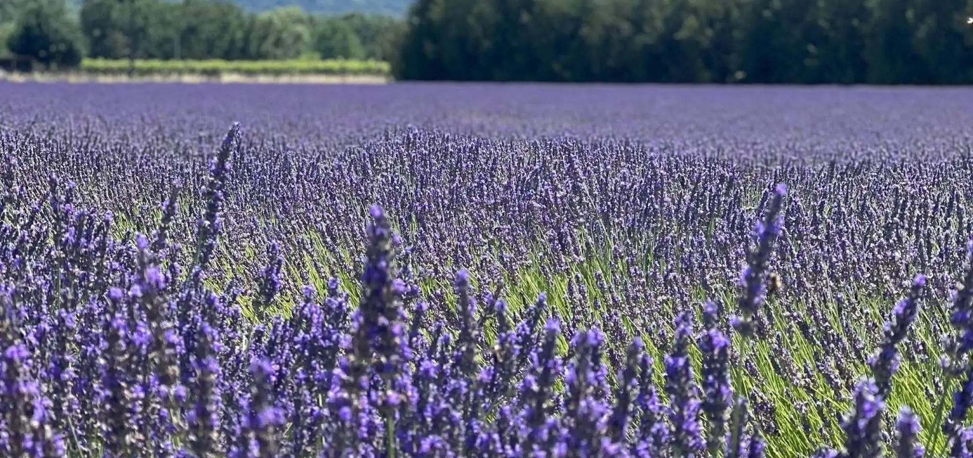 Instameet - 25 juin 2022