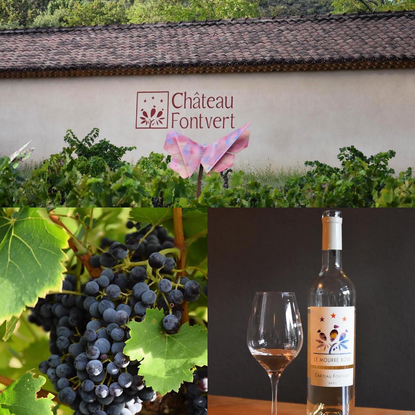 Château Fontvert à Lourmarin, vignes du domaine et bouteille de vin du Luberon