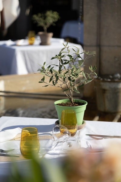 Café de la Fontaine - Le Phébus - Joucas
