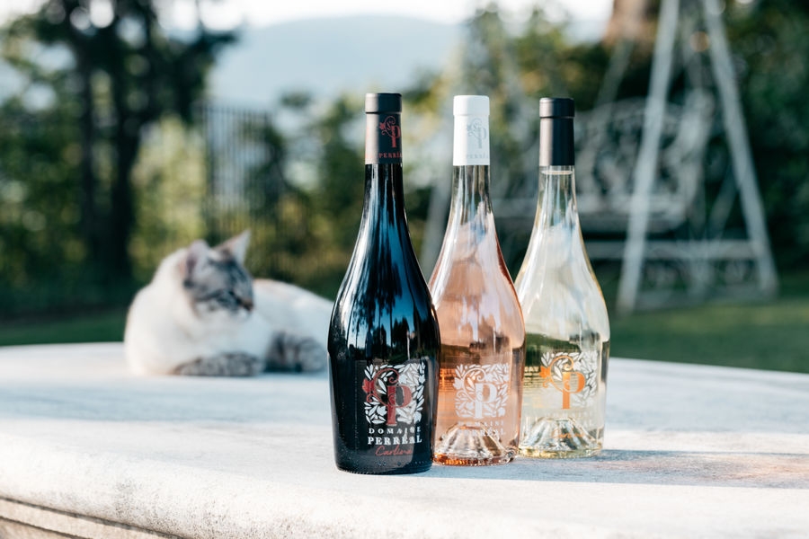 Bouteilles de vins du Domaine Perréal en rouge, rosé et blanc