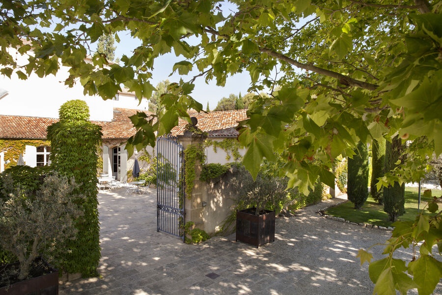 Vignes du Château La Verrerie à Puget dans le Luberon