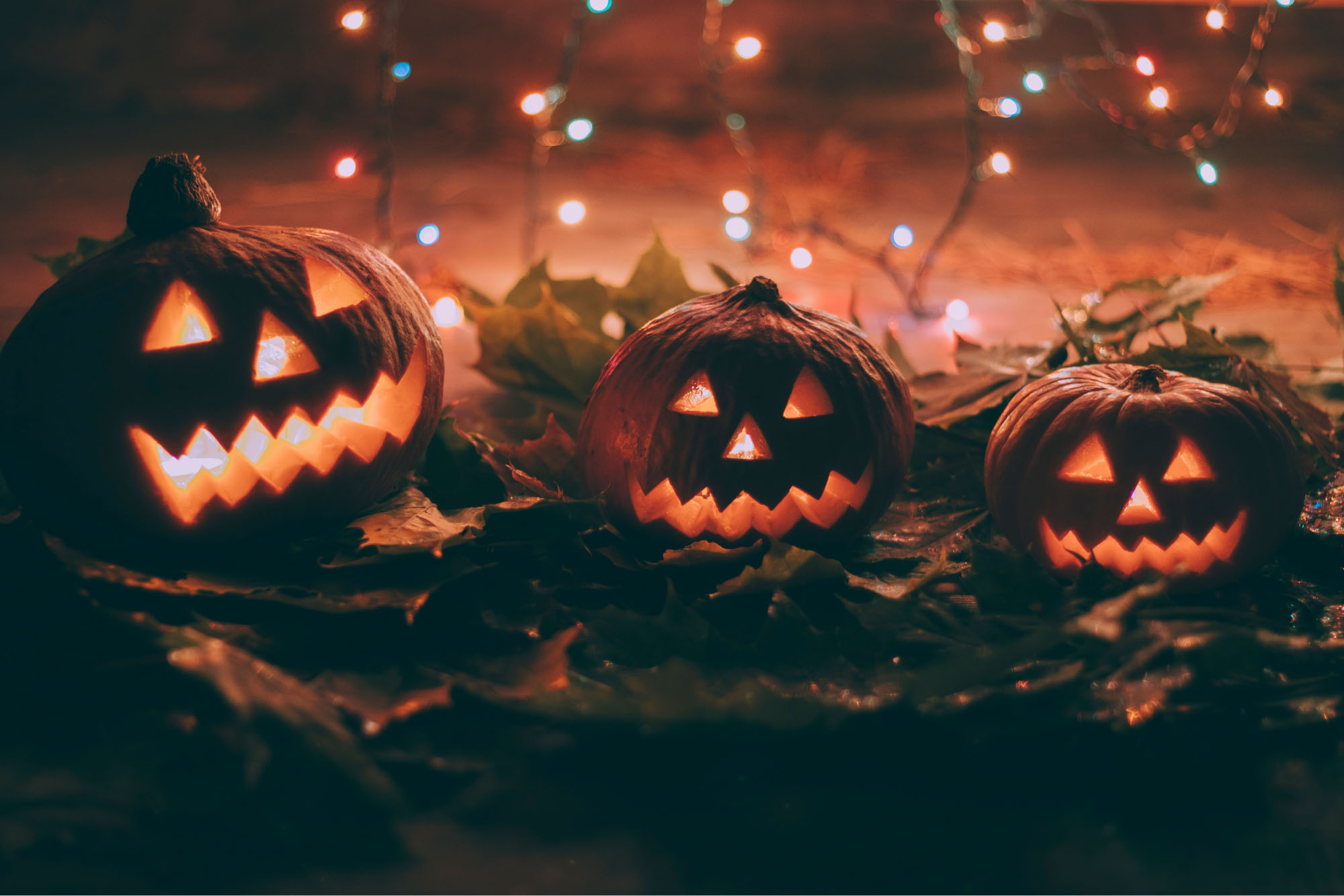 Citrouilles illuminées pour Halloween dans le Luberon