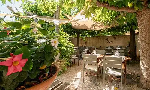 Terrasse des Cigales