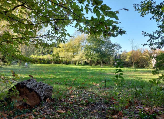 Aire naturelle - Lagnes