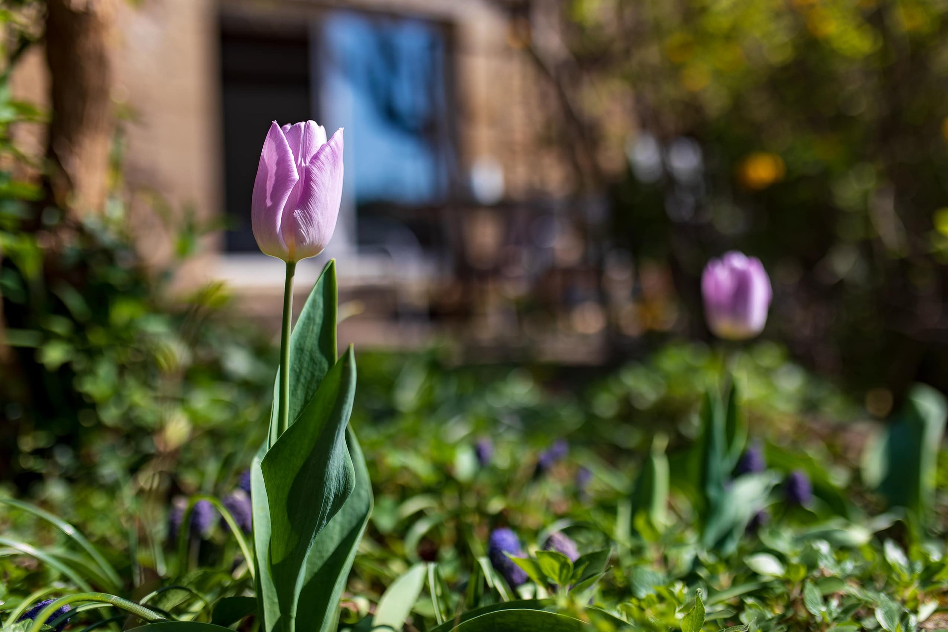 Le Petit Luberon - Cabrières d'Avignon