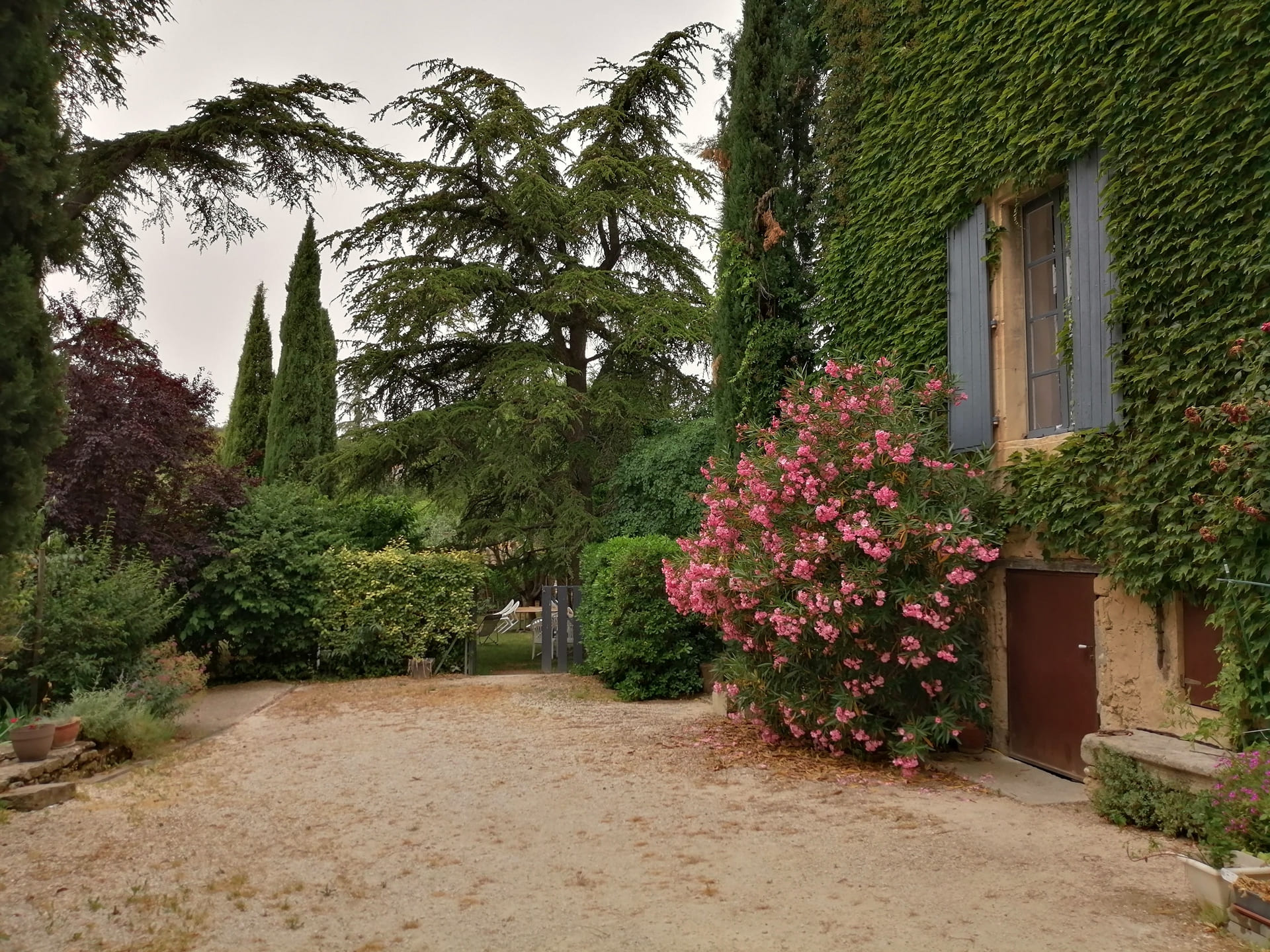 Les Hirondelles - Cabrières-d'Avignon