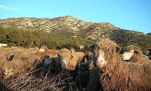 Mas de la Gravière