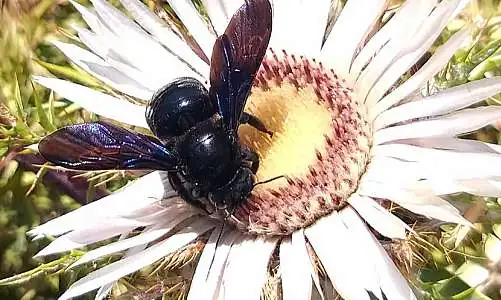 La Boîte à Rando : sortie naturaliste