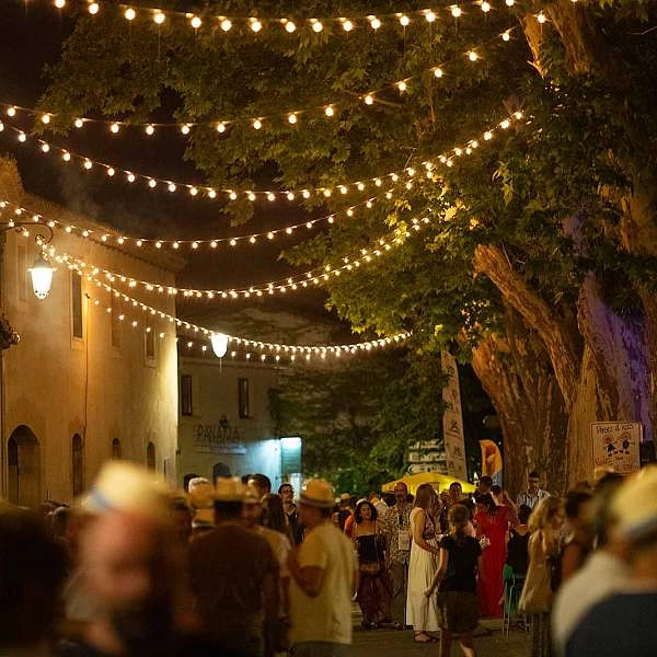 Wine & Dine à Lourmarin : vins, gastronomie & festivités