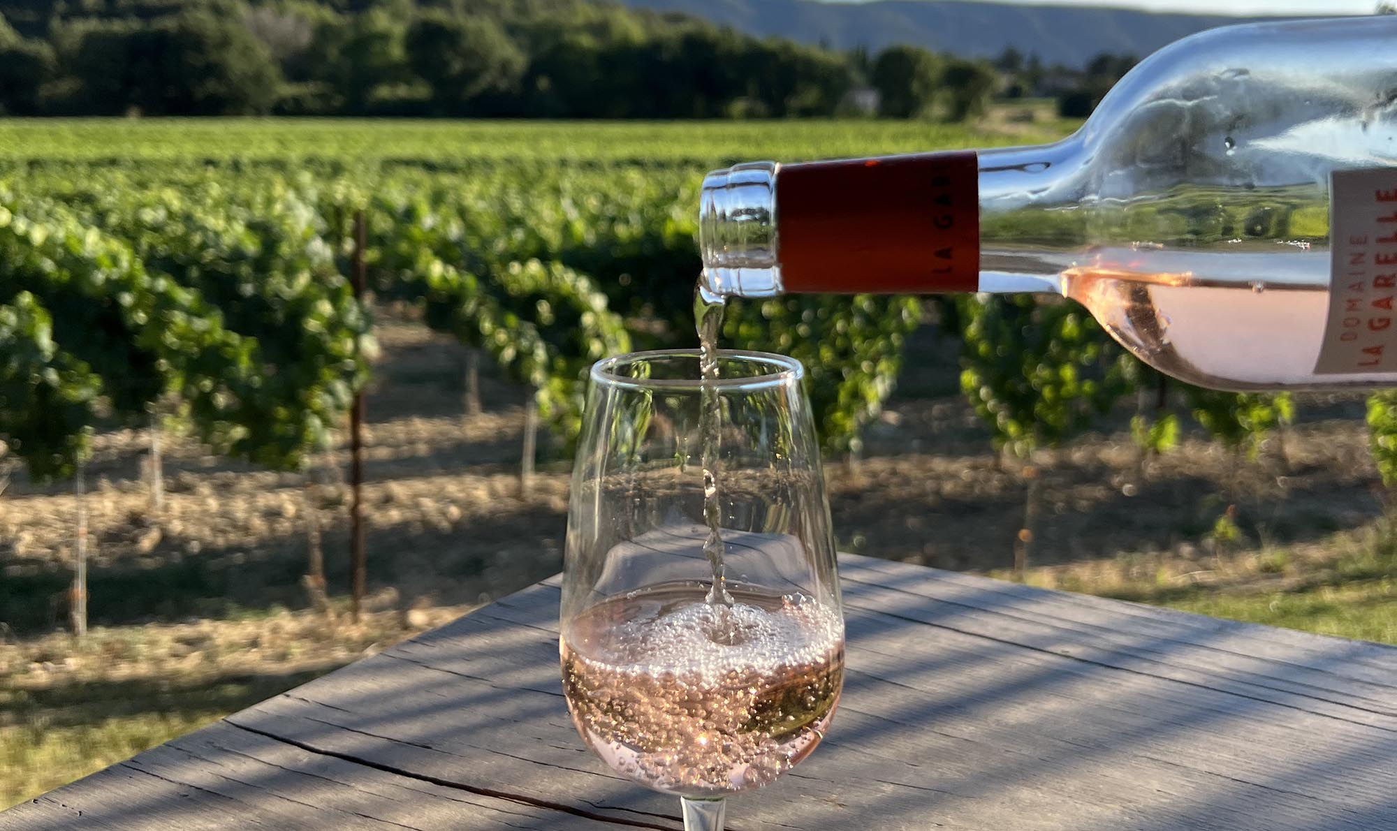 Vignes du Domaine La Garelle Vignes du Domaine La Garelle à Oppède dans le Luberon