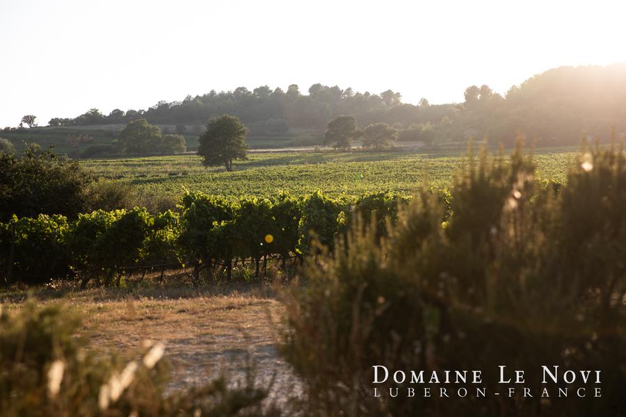 Domaine Le Novi à La Tour-d'Aigues Domaine Le Novi à La Tour-d'Aigues dans le Sud Luberon