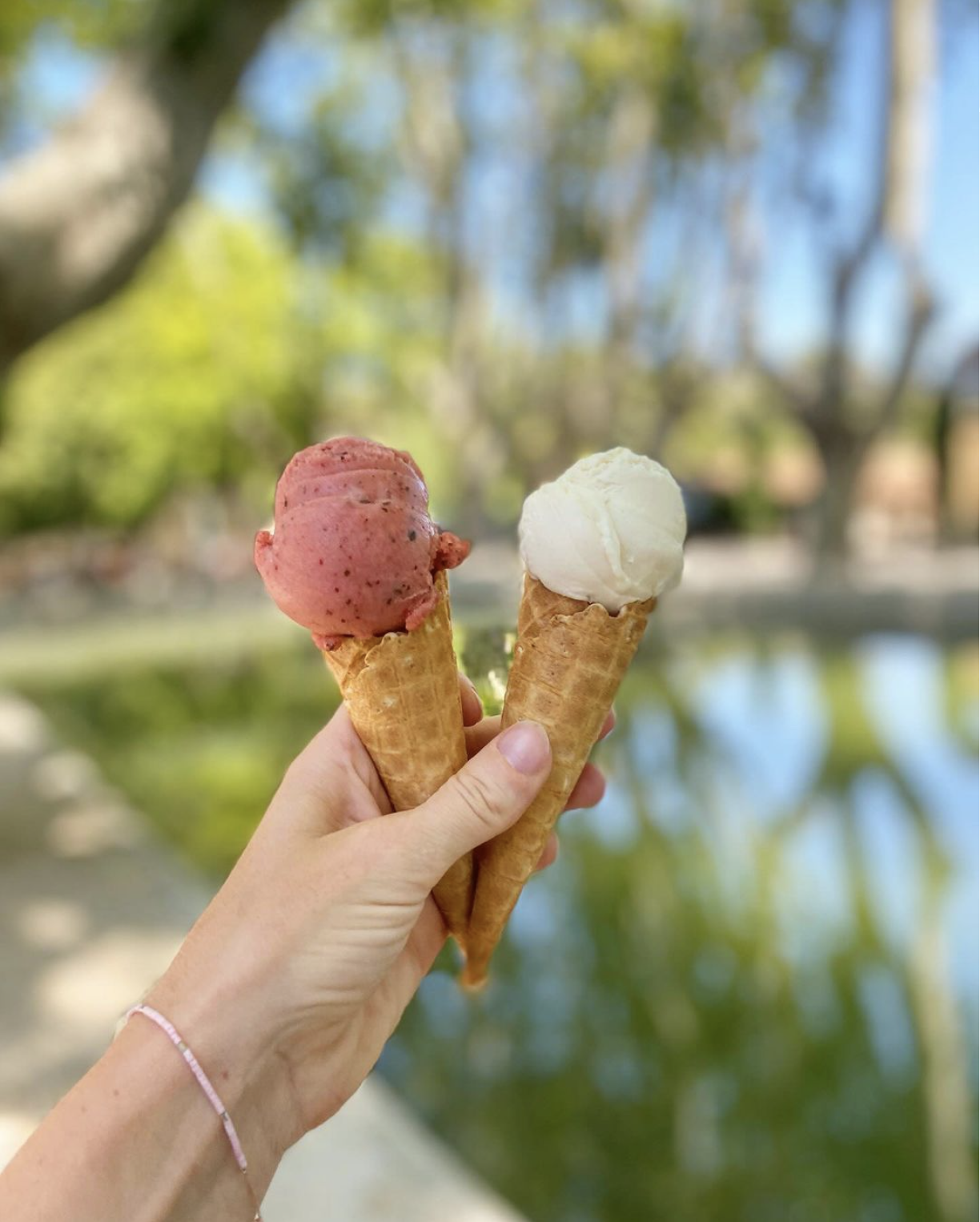 Glaces artisanales de La Glacière à déguster en terrasse à Cucuron Cornets de glace artisanale dégustés au bord de l’étang de Cucuron dans le Luberon