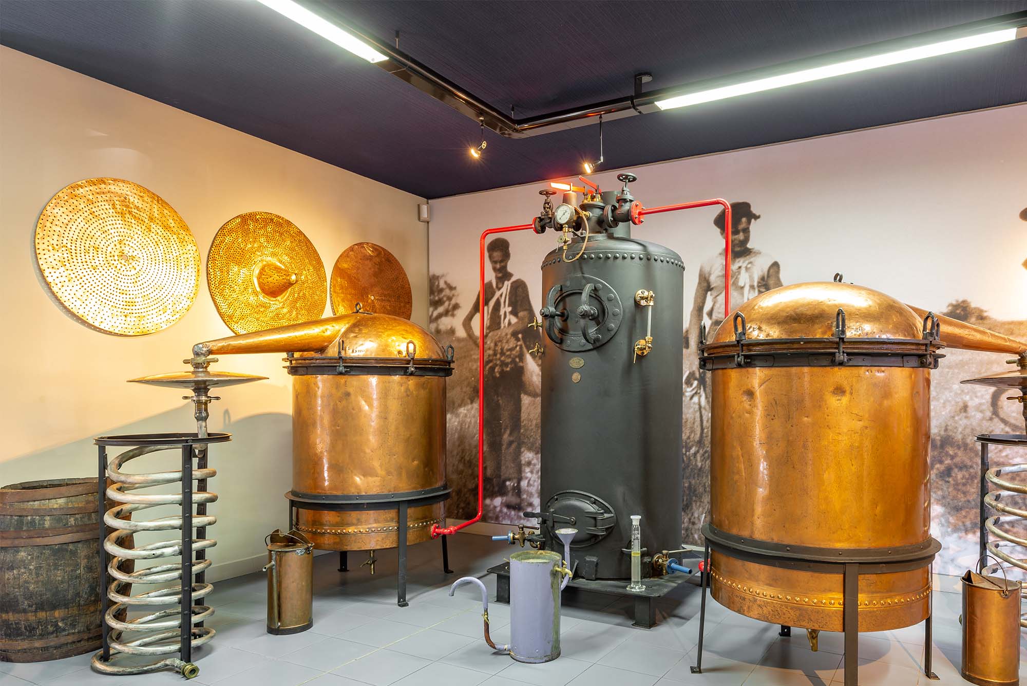 Découverte du patrimoine et des outils traditionnels au cœur d'un musée du Luberon