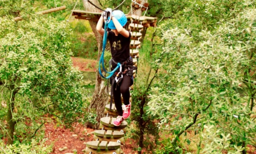 accrobranche passerelle des Cimes