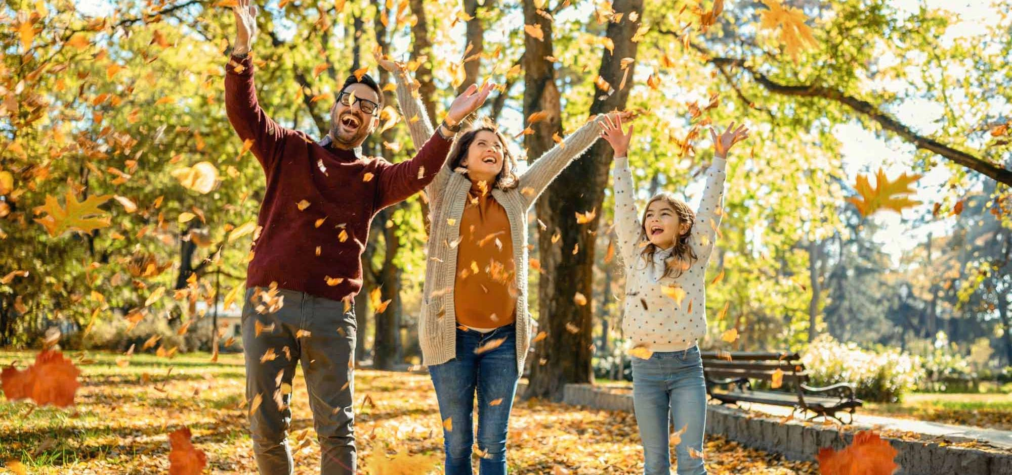 Vacances de la Toussaint : que faire en famille dans le Luberon ?
