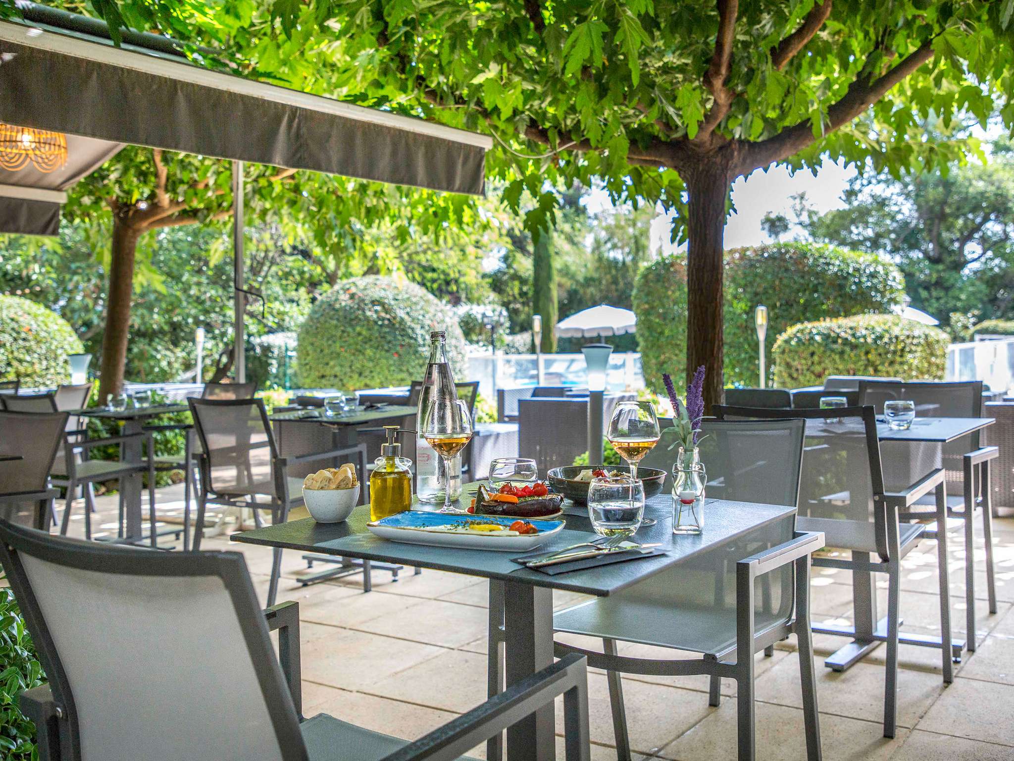 Piscine de l’hôtel Ibis Cavaillon Luberon Piscine extérieure et jardin arboré de l’hôtel Ibis à Cavaillon