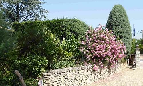 Les Romarins et Les Lavandines_Robion